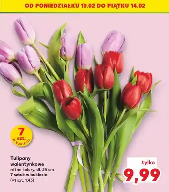 Kaufland Tulipany bukiet 35 cm oferta