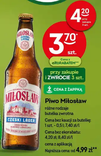 Żabka Piwo Miłosław oferta