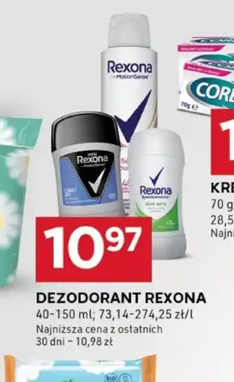 Stokrotka Optima Dezodorant Rexona oferta