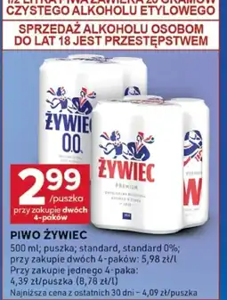 Stokrotka Optima Piwo Zywiec oferta