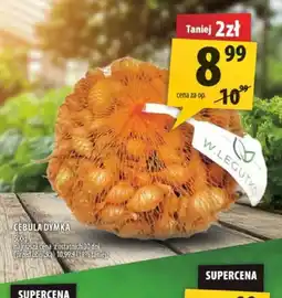 Arhelan Cebulki dymek oferta