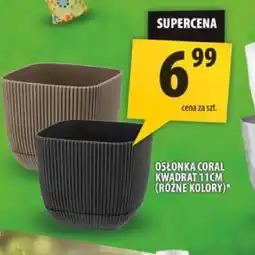 Arhelan Osłonka Coral oferta