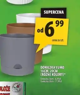 Arhelan Doniczka Yu Mo oferta