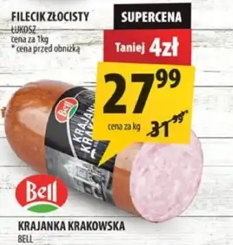 Arhelan Filecik Złocisty Bell oferta