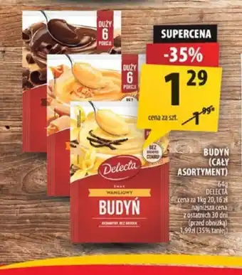 Arhelan Budyń Delecta oferta