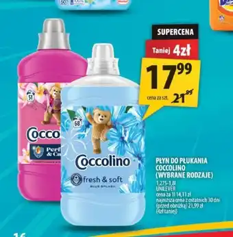 Arhelan Płyn do płukania Coccolino oferta