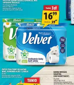 Arhelan Papier toaletowy Velvet Delikatnie Biały oferta