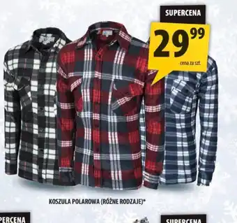 Arhelan Koszula polarowa oferta