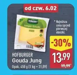 ALDI Ser gouda Hofburger oferta