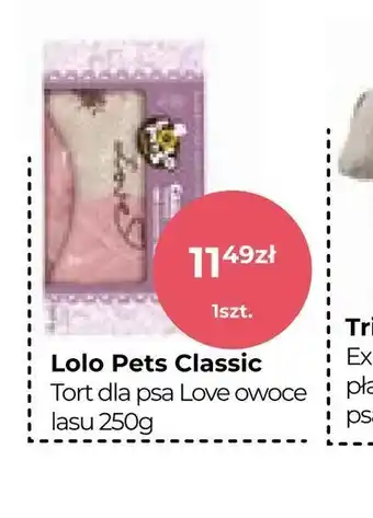 Zoo Karina Lolo Pets Classic Tort dla psa Love owoce lasu oferta