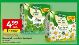 Auchan Herbatka mięta Herbapol zielnik polski oferta