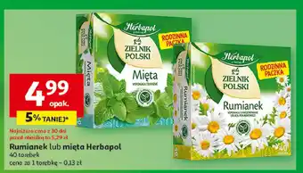 Auchan Herbatka mięta Herbapol zielnik polski oferta