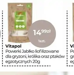 Zoo Karina Vitapol Powierki Jabłko liofilizowane oferta