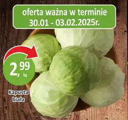 Passa Kapusta biała oferta