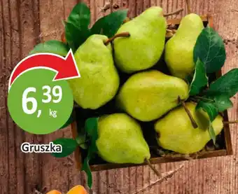 Passa Gruszka oferta