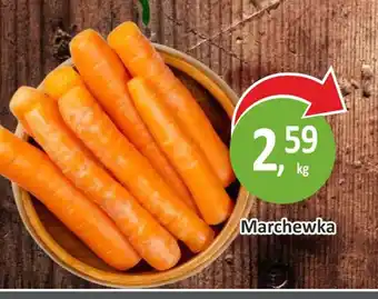 Passa Marchewka oferta