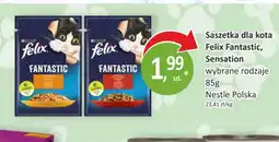 Passa Saszetka dla kota Felix Fantastic, Sensation oferta