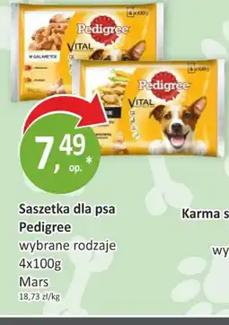 Passa Saszetka dla psa Pedigree oferta