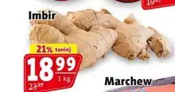 Imbir