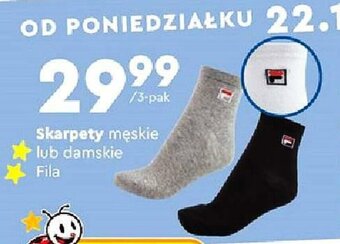 Skarpety męskie lub damskie Fila