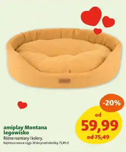 Maxi Zoo amiplay Montana legowisko oferta