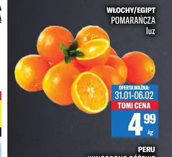 TomiMarkt Pomarańcza oferta