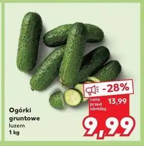 Kaufland Ogórki gruntowe oferta