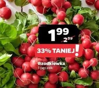 Netto Rzodkiewka oferta