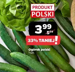 Netto Ogórek krótki oferta