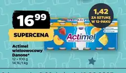 Netto Jogurt wieloowocowy Danone actimel oferta