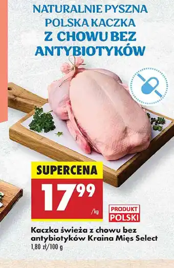 Biedronka Kaczka świeża bez antybiotyków Kraina mięs select oferta