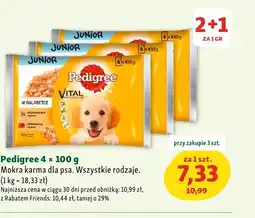 Maxi Zoo Karma dla psa Pedigree oferta