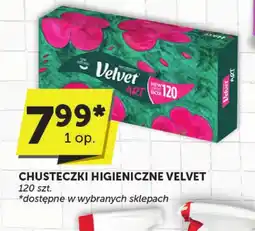 ABC Chusteczki higieniczne Velvet oferta