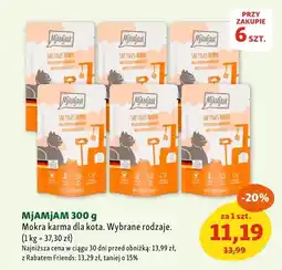 Maxi Zoo Mokra karma dla kota MjAMjAM oferta