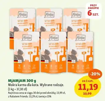 Maxi Zoo Mokra karma dla kota MjAMjAM oferta