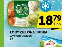 ABC Lody Zielona Budka oferta