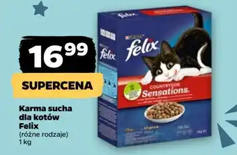 Netto Karma dla kota z wołowiną Purina Felix Sensations oferta