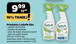 Netto Płyn ekologiczny do mycia szyb i luster zielona herbata jaśmin Ludwik oferta