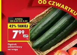 Biedronka Ogórek szklarniowy oferta