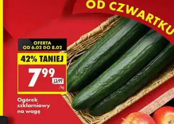 Biedronka Ogórek szklarniowy oferta