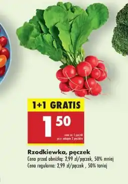 Biedronka Rzodkiewka oferta