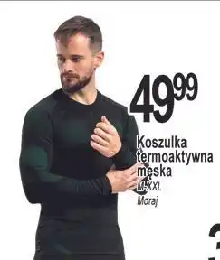 E.Leclerc Koszulka termoaktywna męska m-xxl Moraj oferta