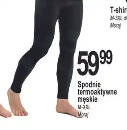 E.Leclerc Spodnie termoaktywne męskie m-xxl Moraj oferta