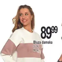 E.Leclerc Bluza damska s-2xl Moraj oferta