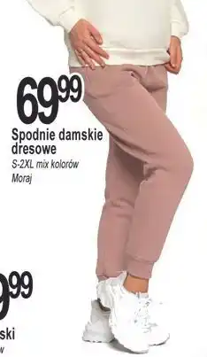 E.Leclerc Spodnie dresowe damskie s-2xl Moraj oferta