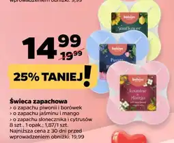 Netto Podgrzewacze zapachowe słonecznik i cytrusy Bolsius oferta