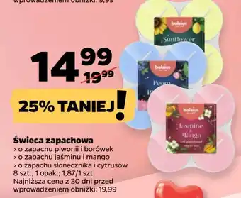 Netto Podgrzewacze zapachowe słonecznik i cytrusy Bolsius oferta