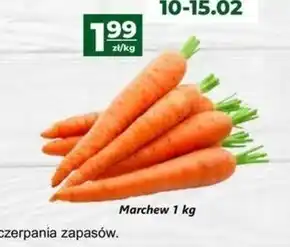 Społem Marchew oferta