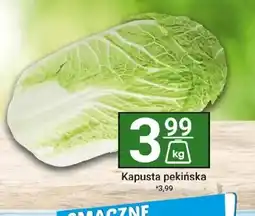 Hitpol Kapusta pekińska oferta