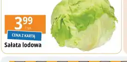 E.Leclerc Sałata lodowa oferta